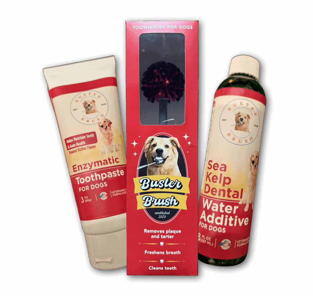 Buster Brush Dog Tooth Brushing Bundle